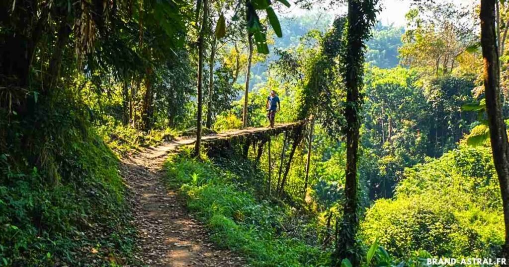 trek chiang mai