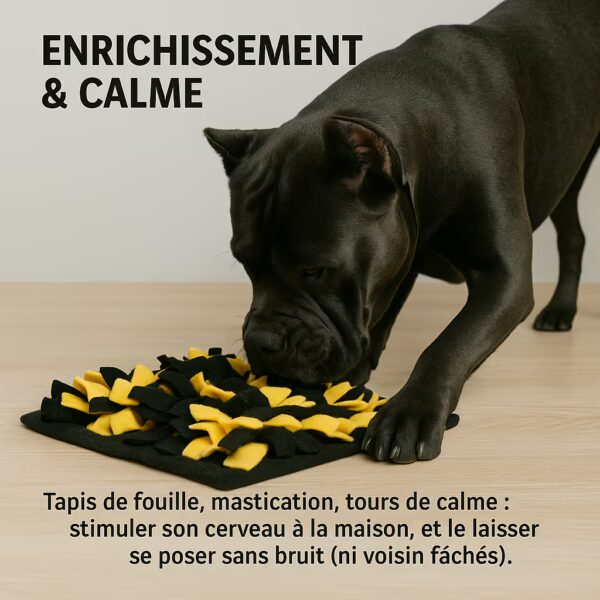 Cane Corso utilisant un tapis de fouille sur parquet ; stimulation mentale à la maison pour favoriser le calme en appartement.