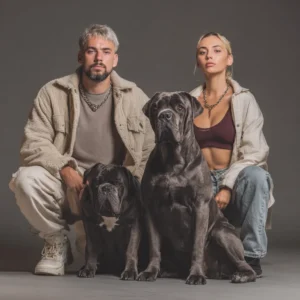 mon Cane Corso détruit tout quand je pars ?